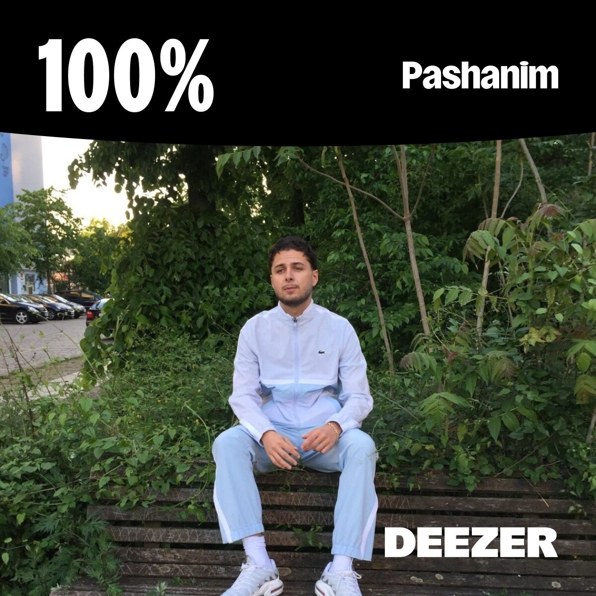 Cover of playlist 100% Pashanim