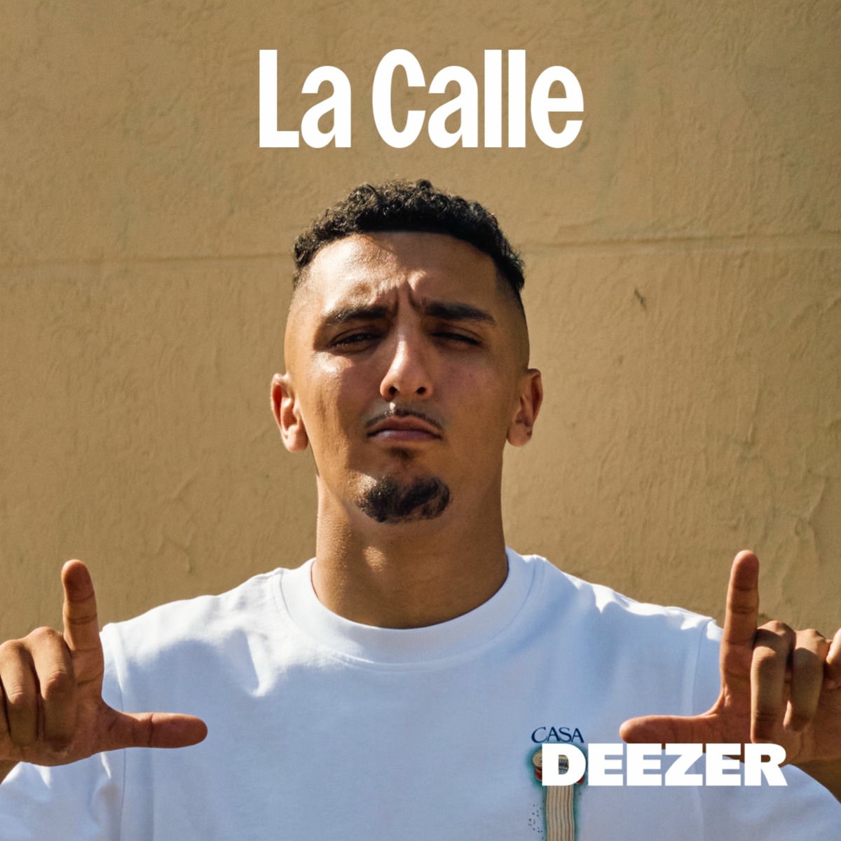 Cover of playlist La Calle