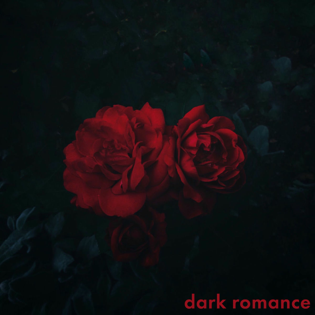 Cover of playlist dark romance, romtasy, booktok
