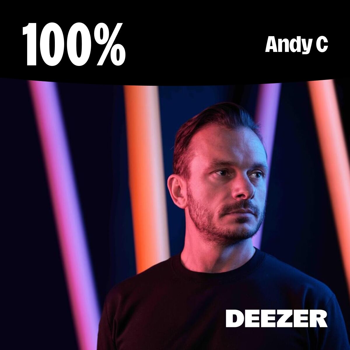 Cover of playlist 100% Andy C