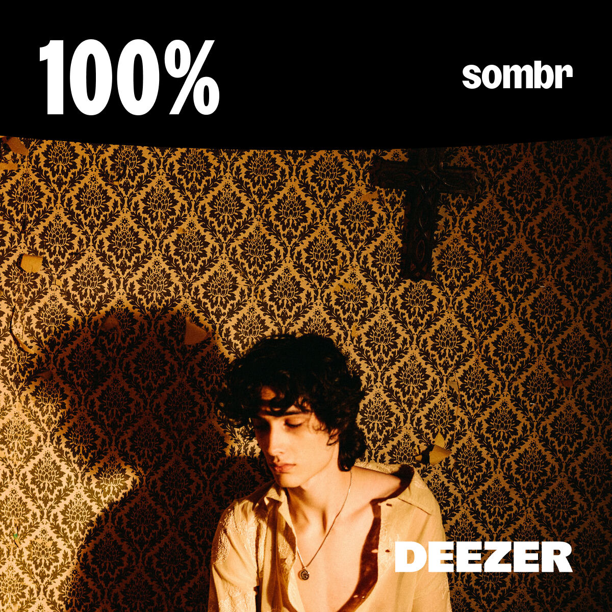 Cover of playlist 100% Sombr