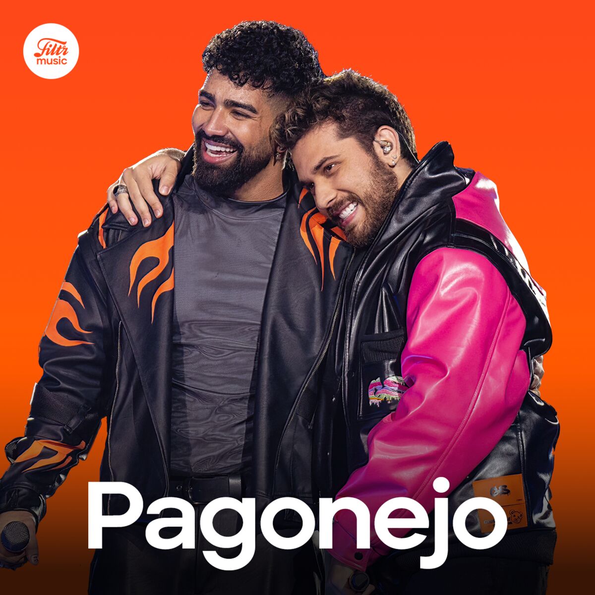Cover of playlist Pagonejo 2025 | Pagode e Sertanejo