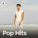 Pop Hits 2025 ✨ Hits do Pop Nacional 2025
