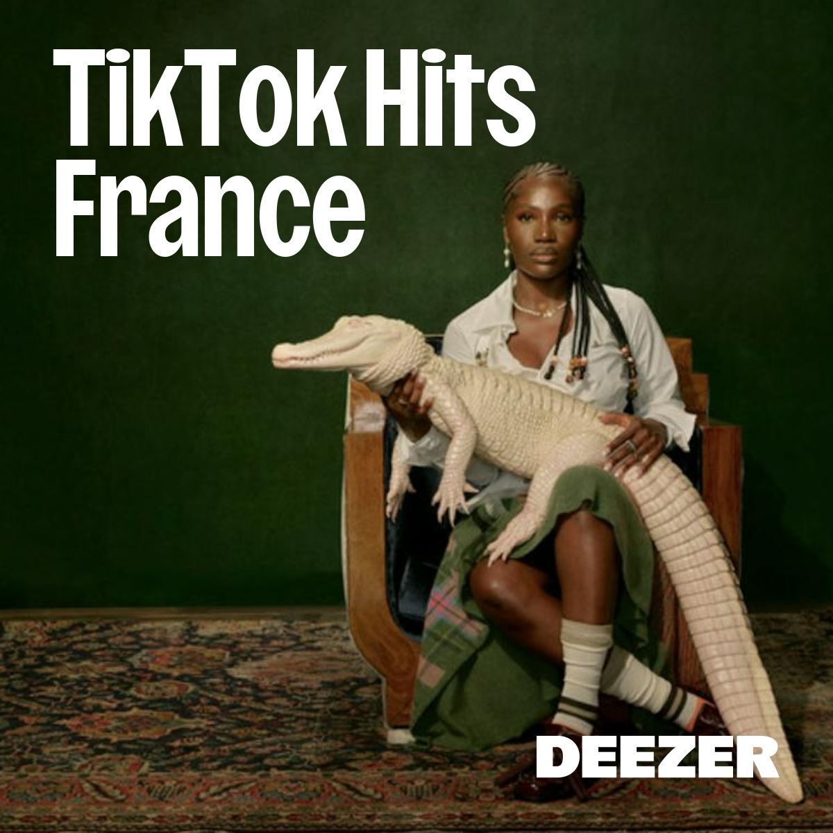 Cover of playlist TikTok Hits France