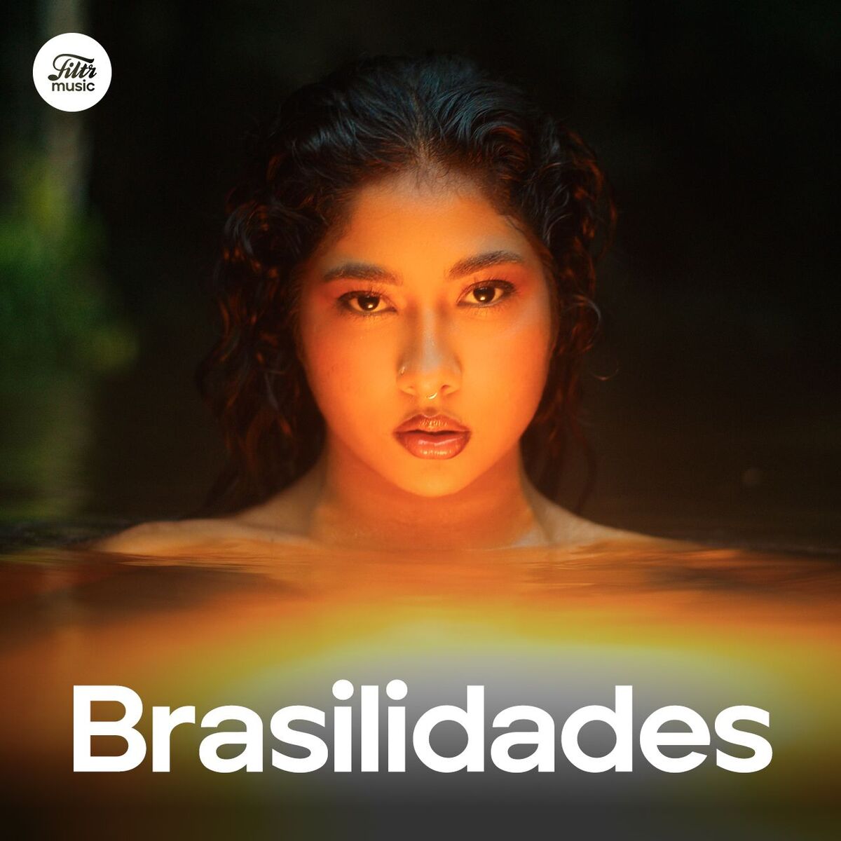 Cover of playlist Brasilidades 2025 💚 Música Brasileira 2025