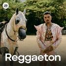 Reggaeton 2025 🔥 Reggaeton Mix 2025