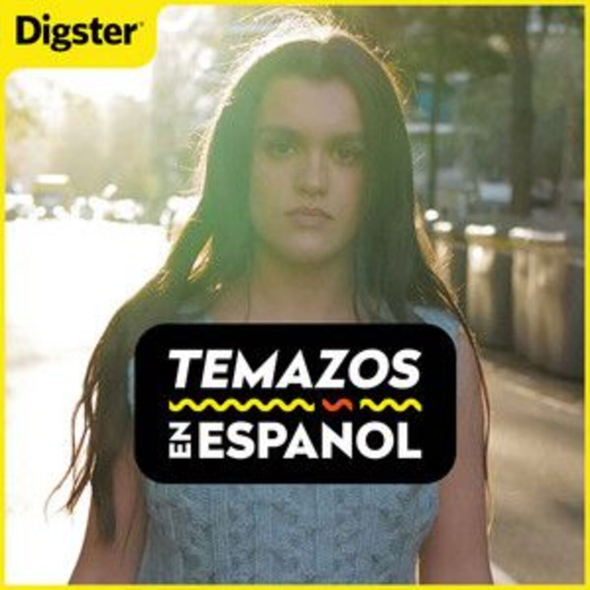 Cover of playlist TEMAZOS EN ESPAÑOL