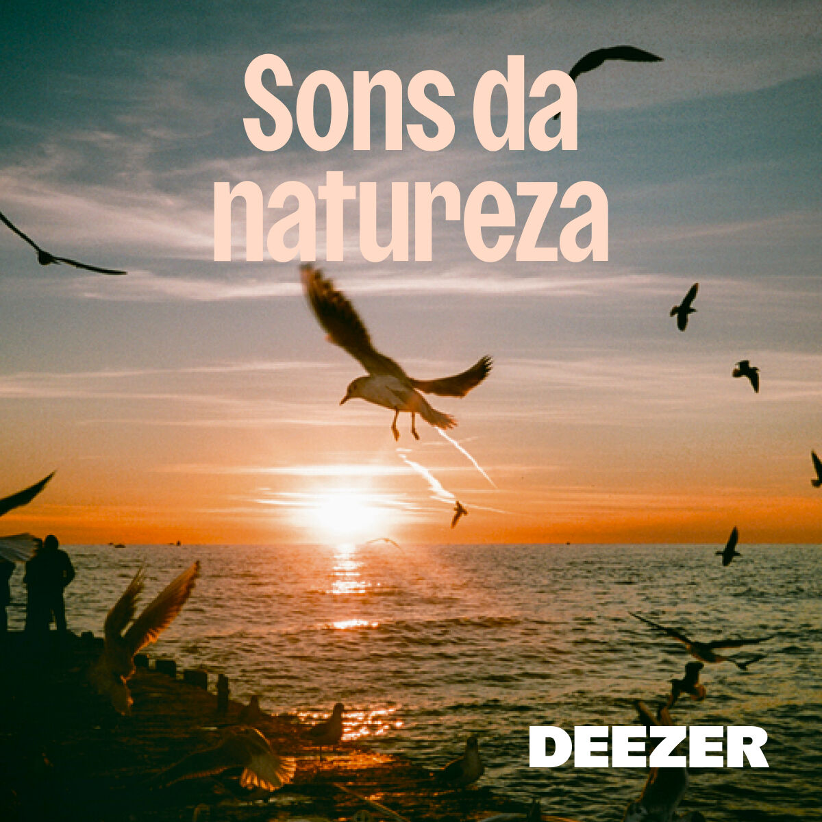 Sons da natureza