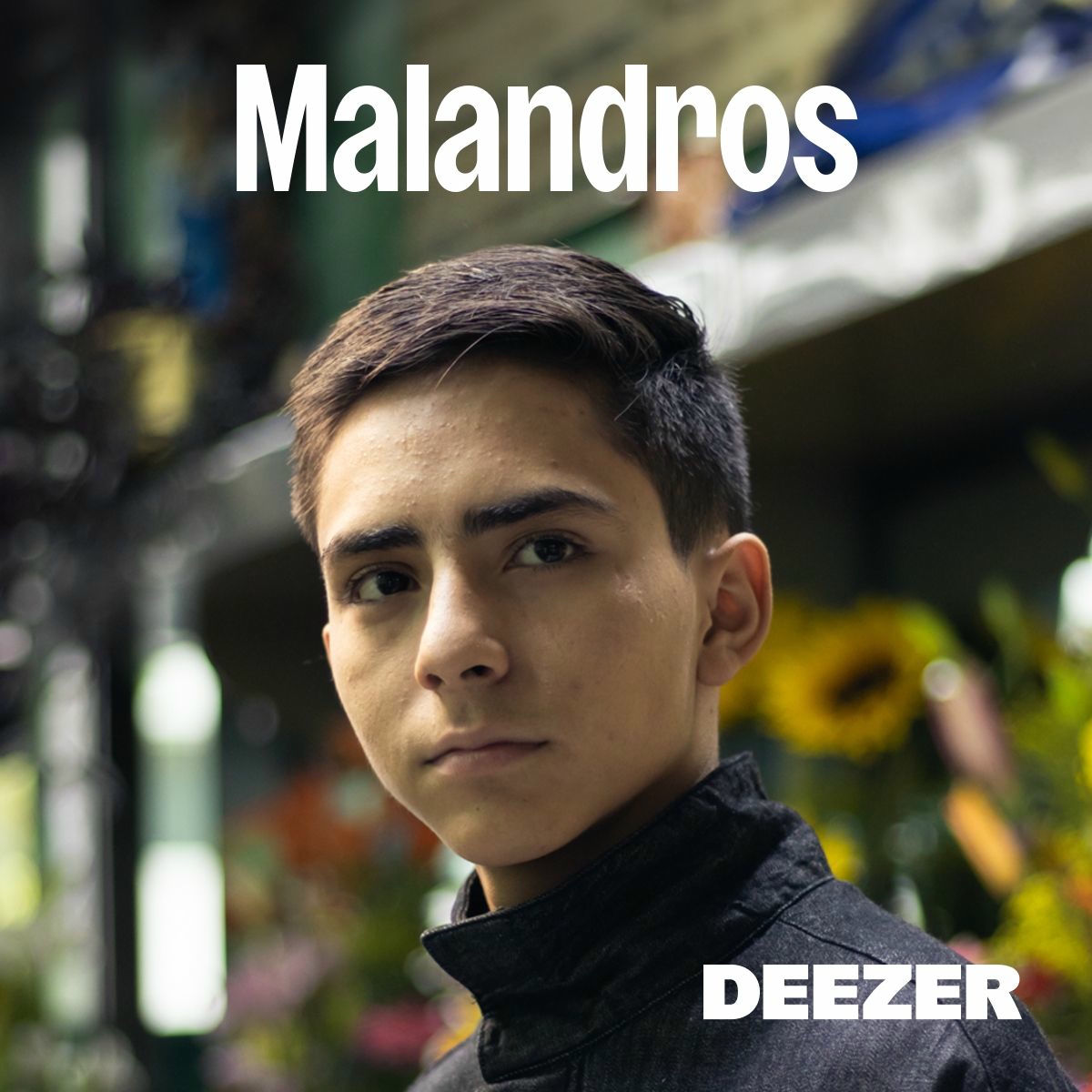 Cover of playlist Malandros