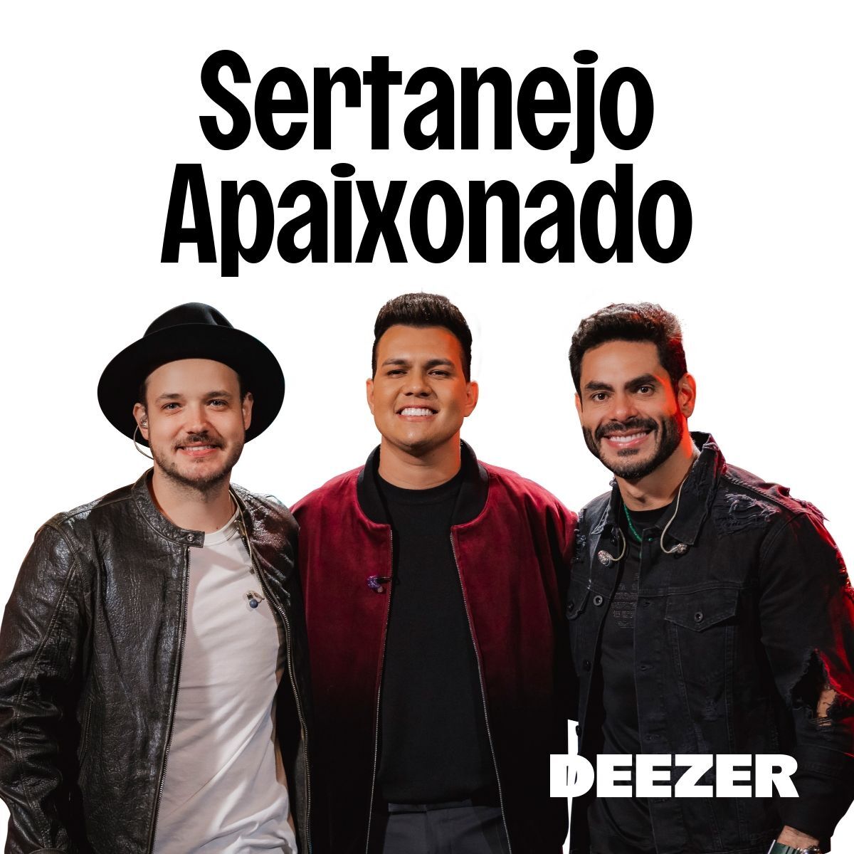 Cover of playlist Sertanejo Apaixonado