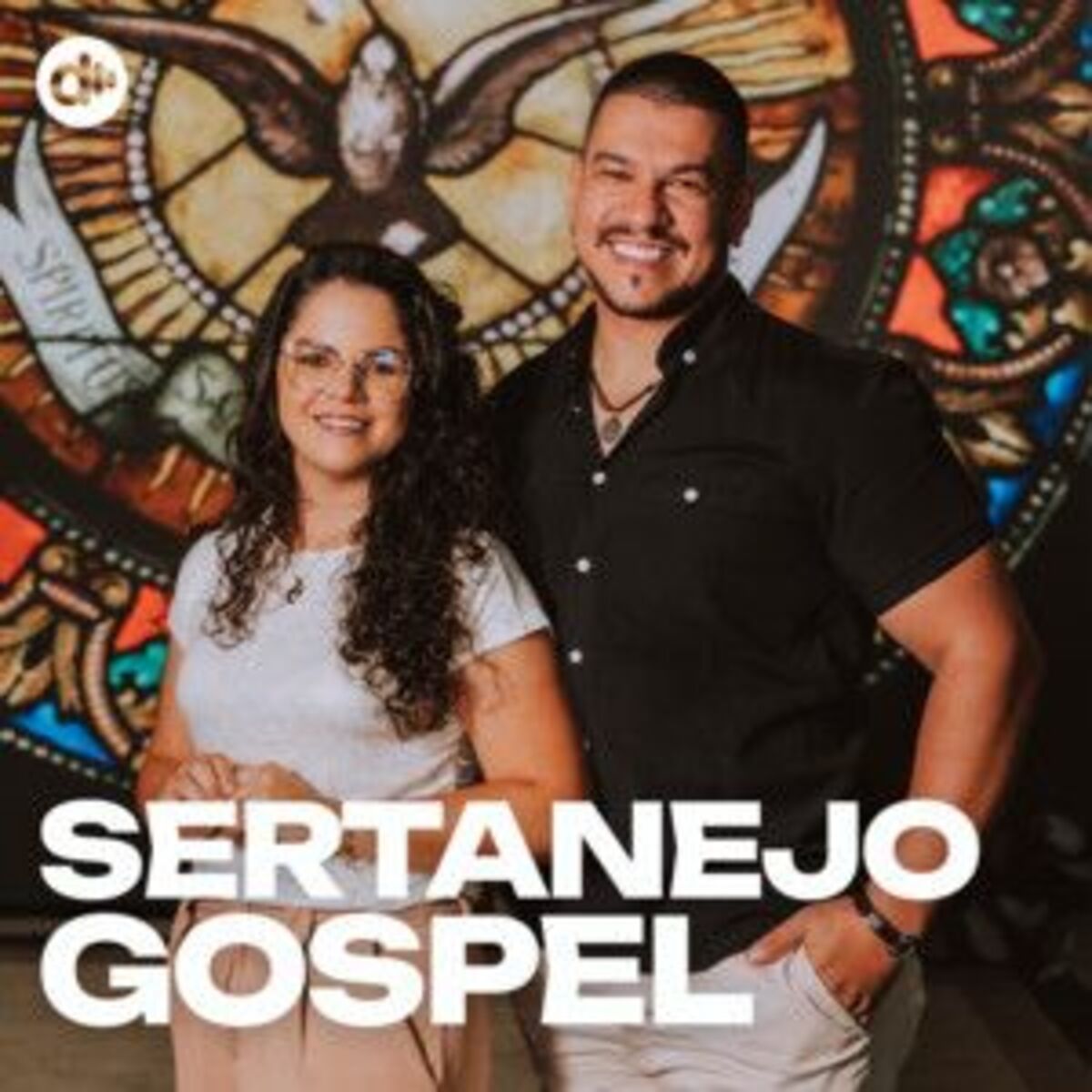 Cover of playlist Sertanejo Gospel