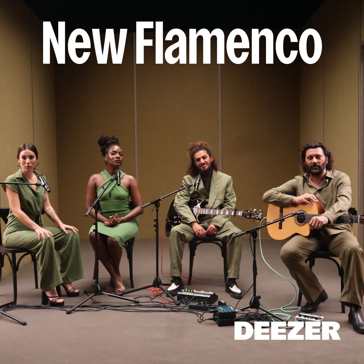 Cover of playlist New Flamenco