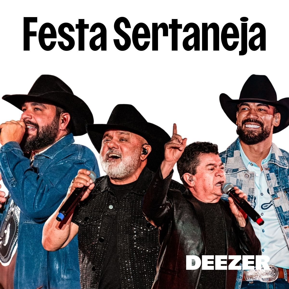 Cover of playlist Festa Sertaneja