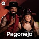 Pagonejo 2025 | Pagode e Sertanejo