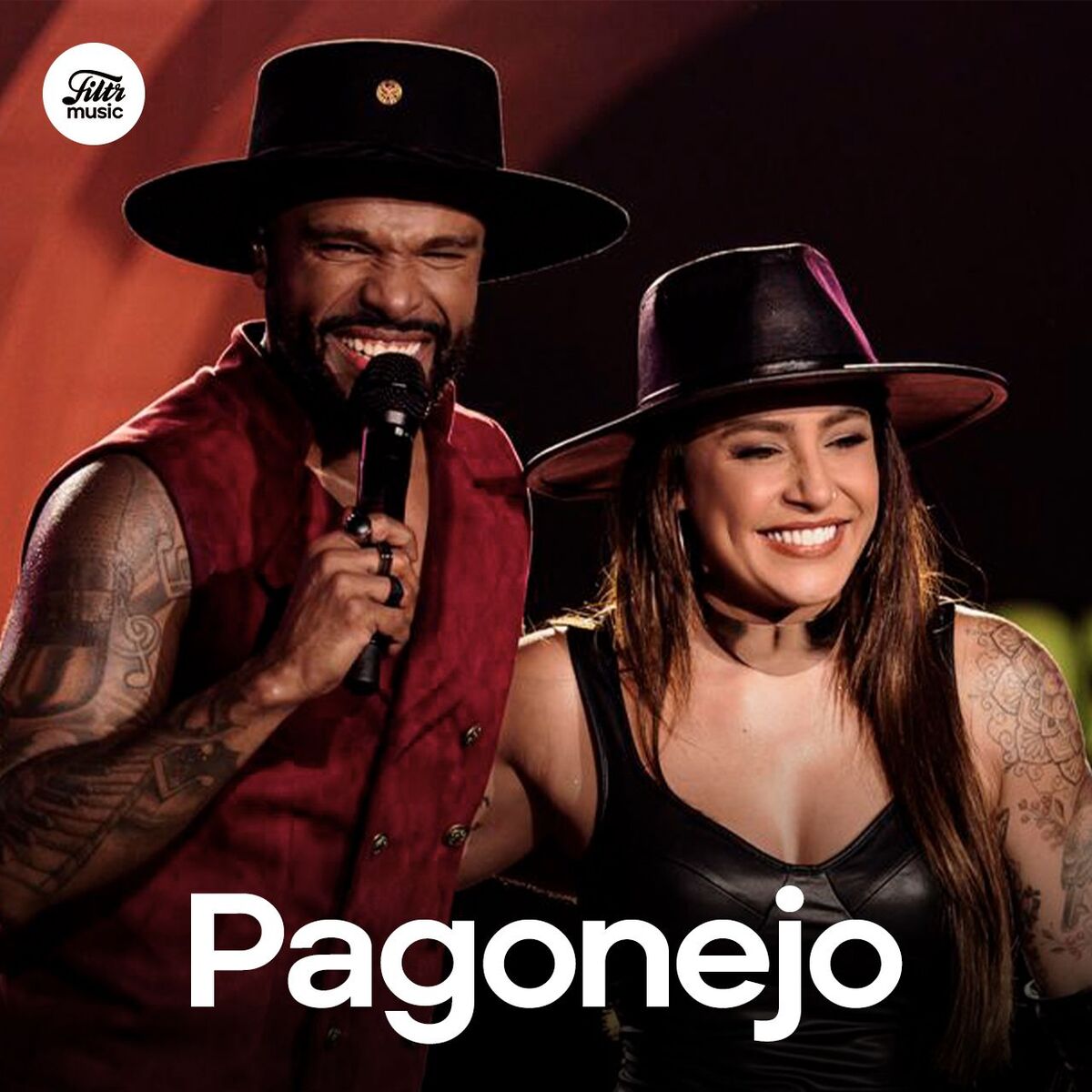 Cover of playlist Pagonejo 2025 | Pagode e Sertanejo