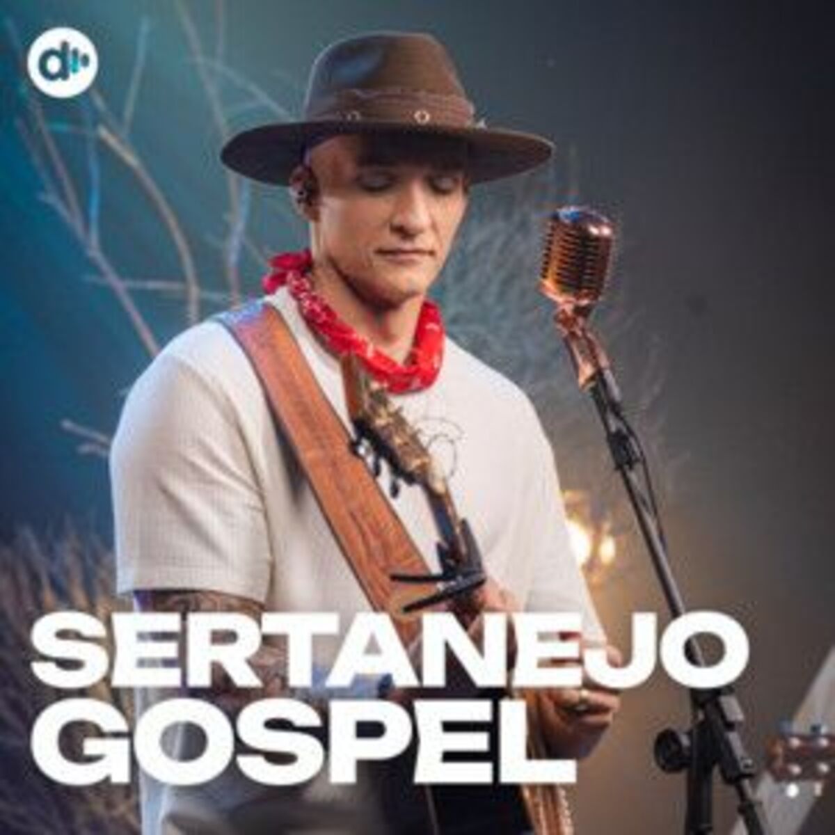 Cover of playlist Sertanejo Gospel