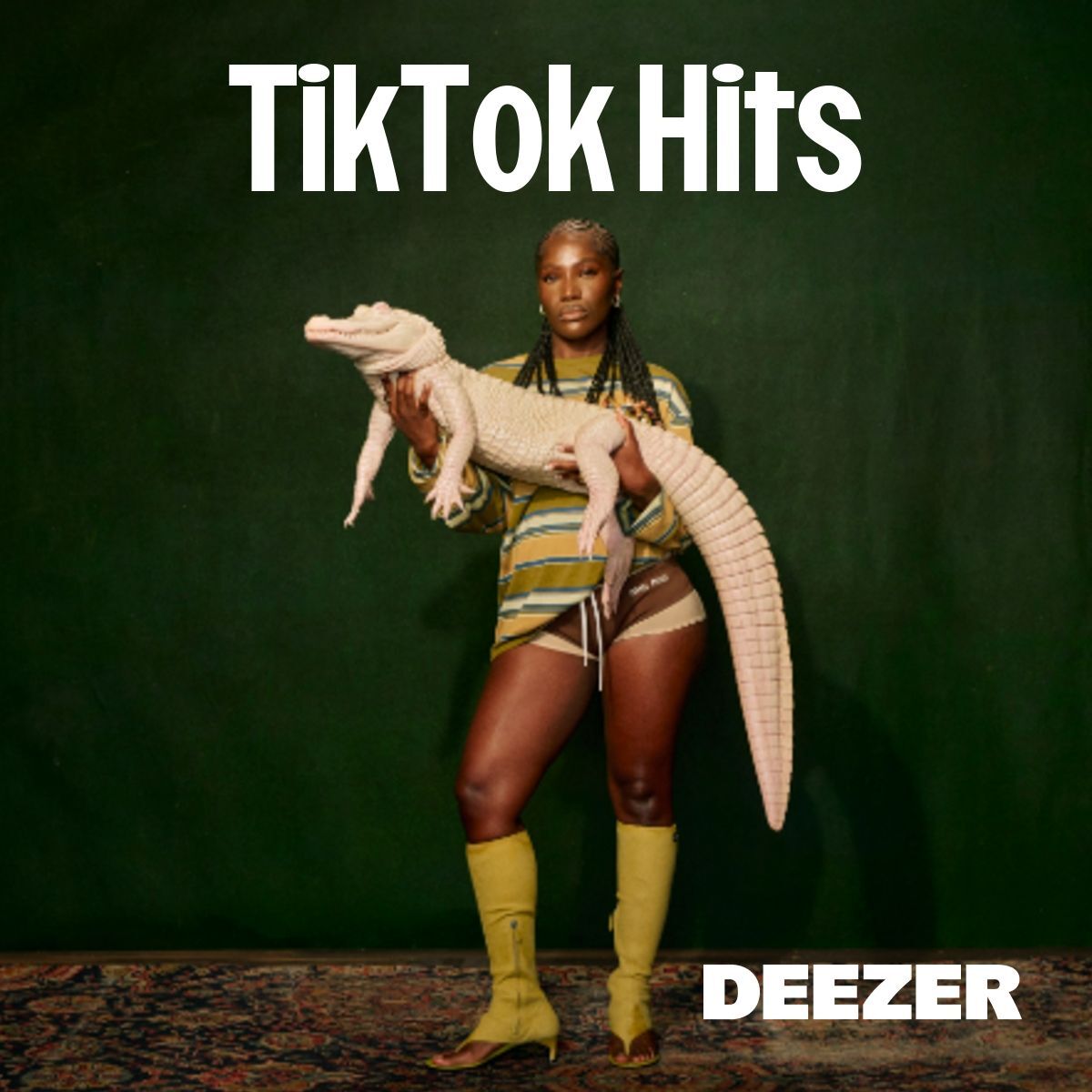 Cover of playlist TikTok Hits