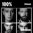 100% Pinhani