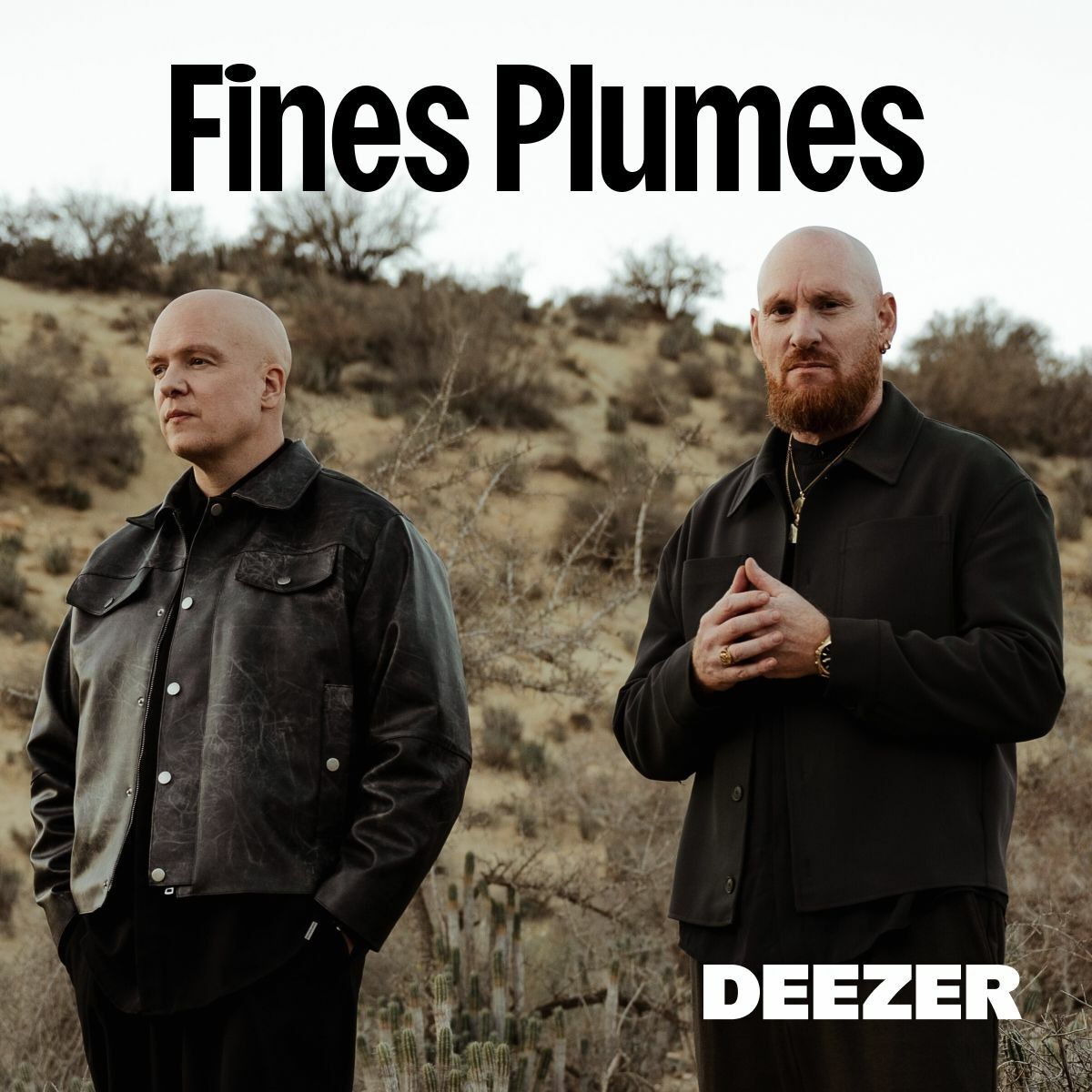 Cover of playlist Fines Plumes