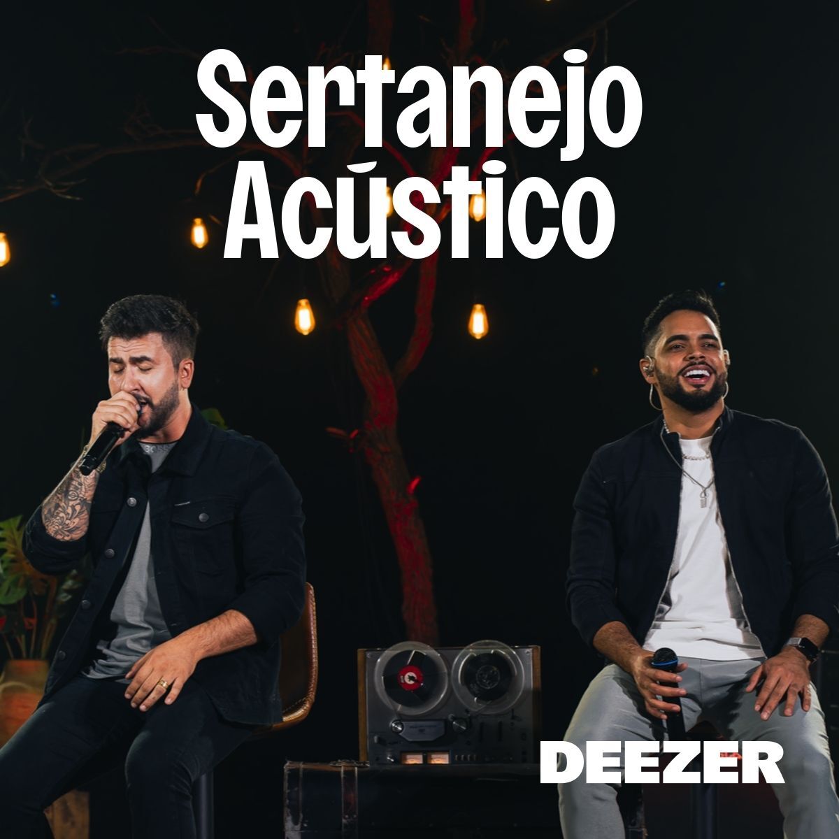 Cover of playlist Sertanejo Acústico