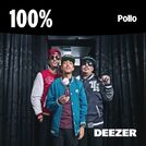 100% Pollo