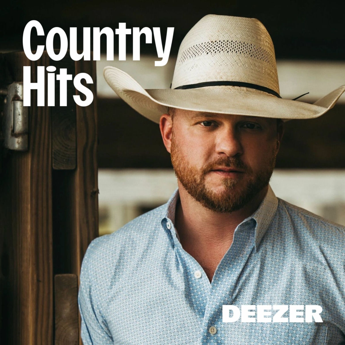 Cover of playlist Country Hits