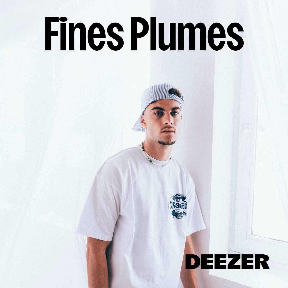 Cover of playlist Fines Plumes