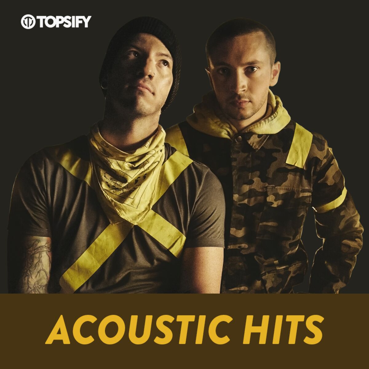 Cover of playlist Acoustic Hits