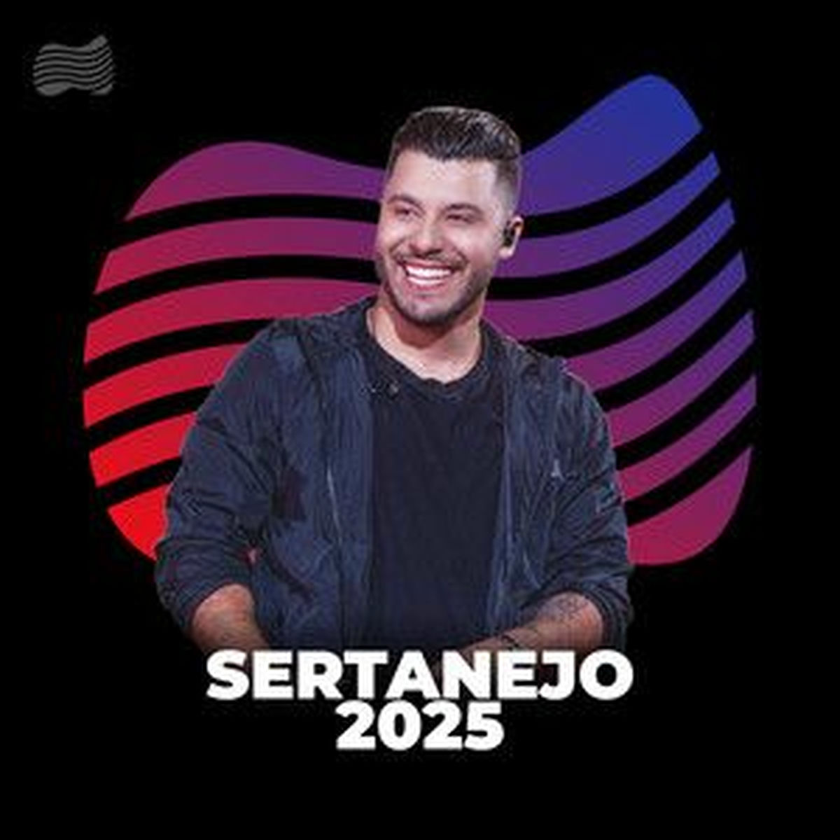 Cover of playlist Sertanejo 2025