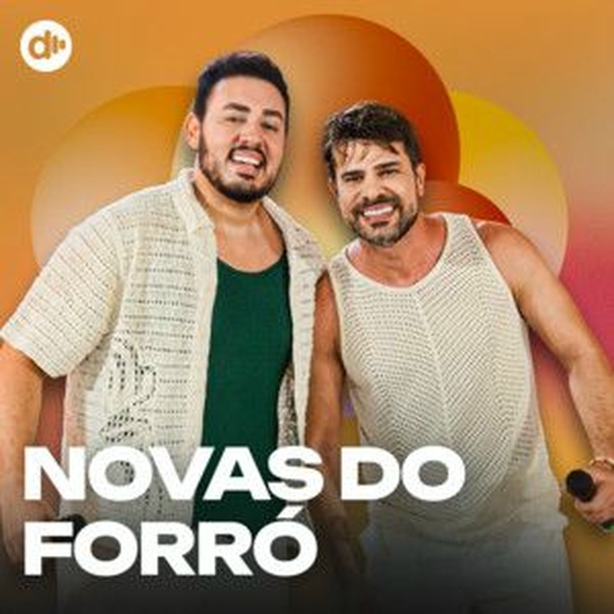 Cover of playlist Novas do Forró | Novidades do Forró