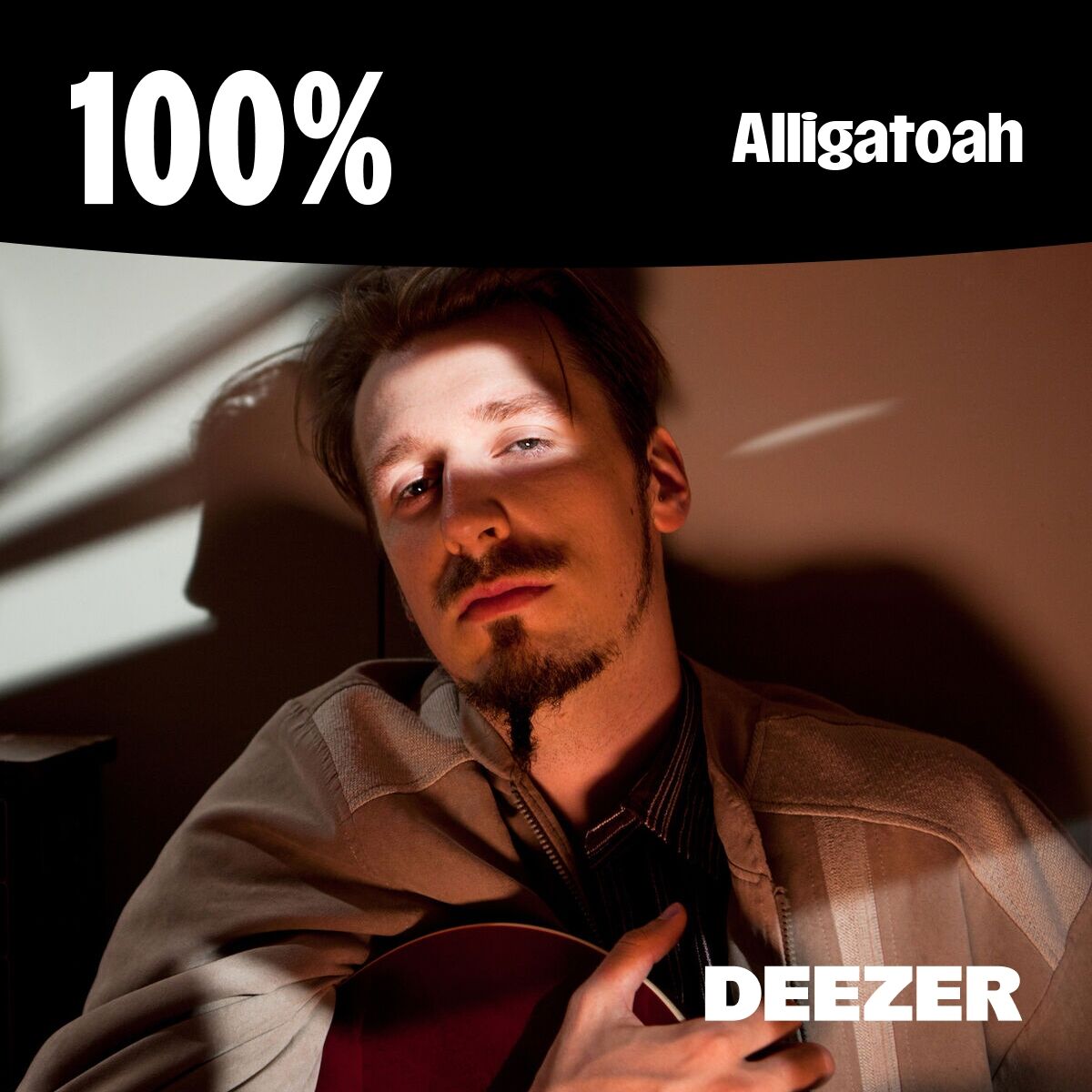 Cover of playlist 100% Alligatoah