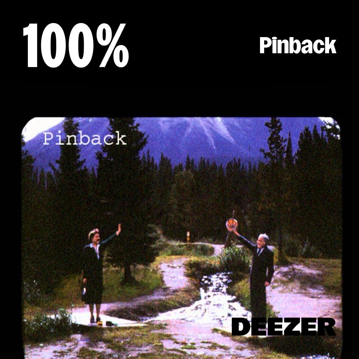 Cover of playlist 100% Pinback