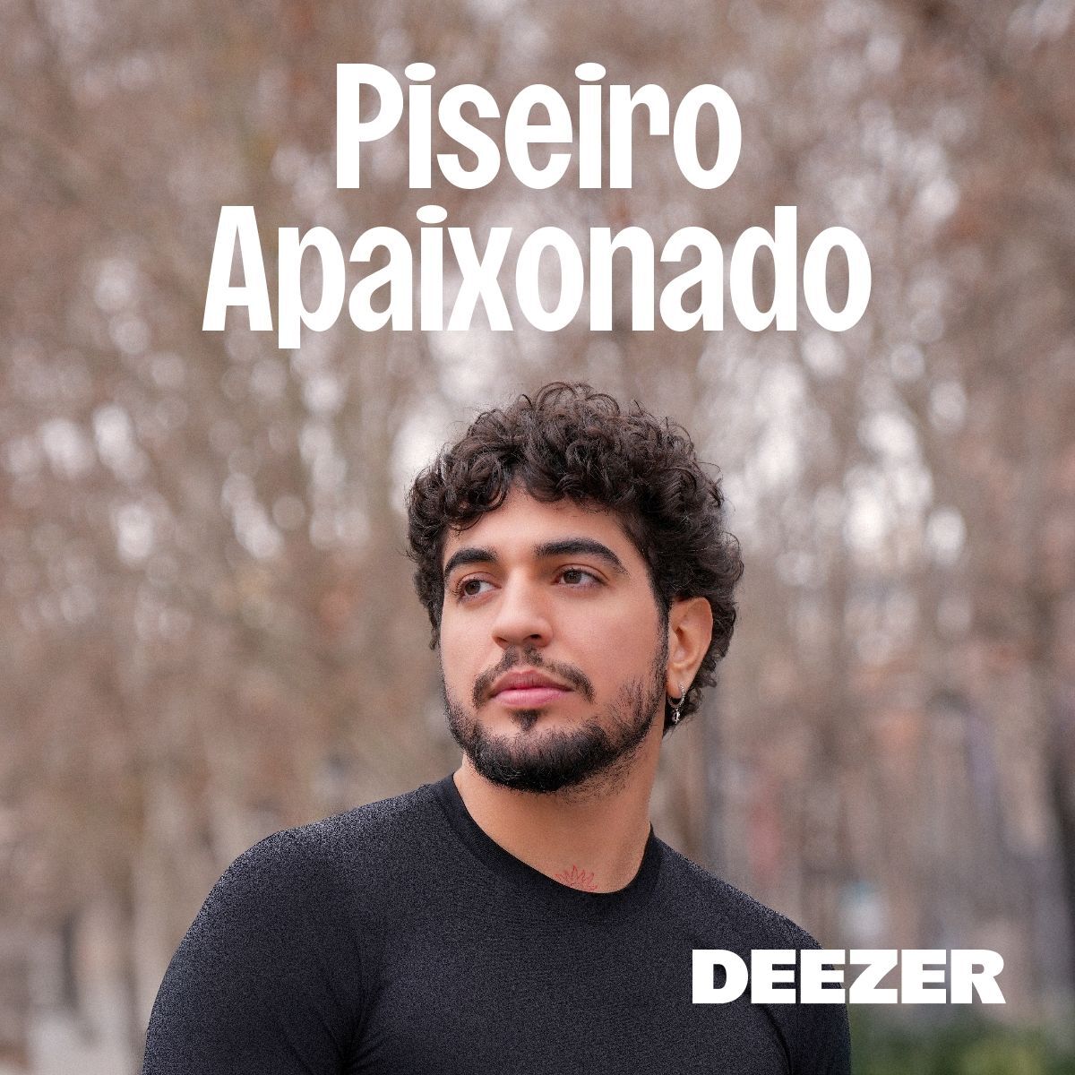 Cover of playlist Piseiro Apaixonado