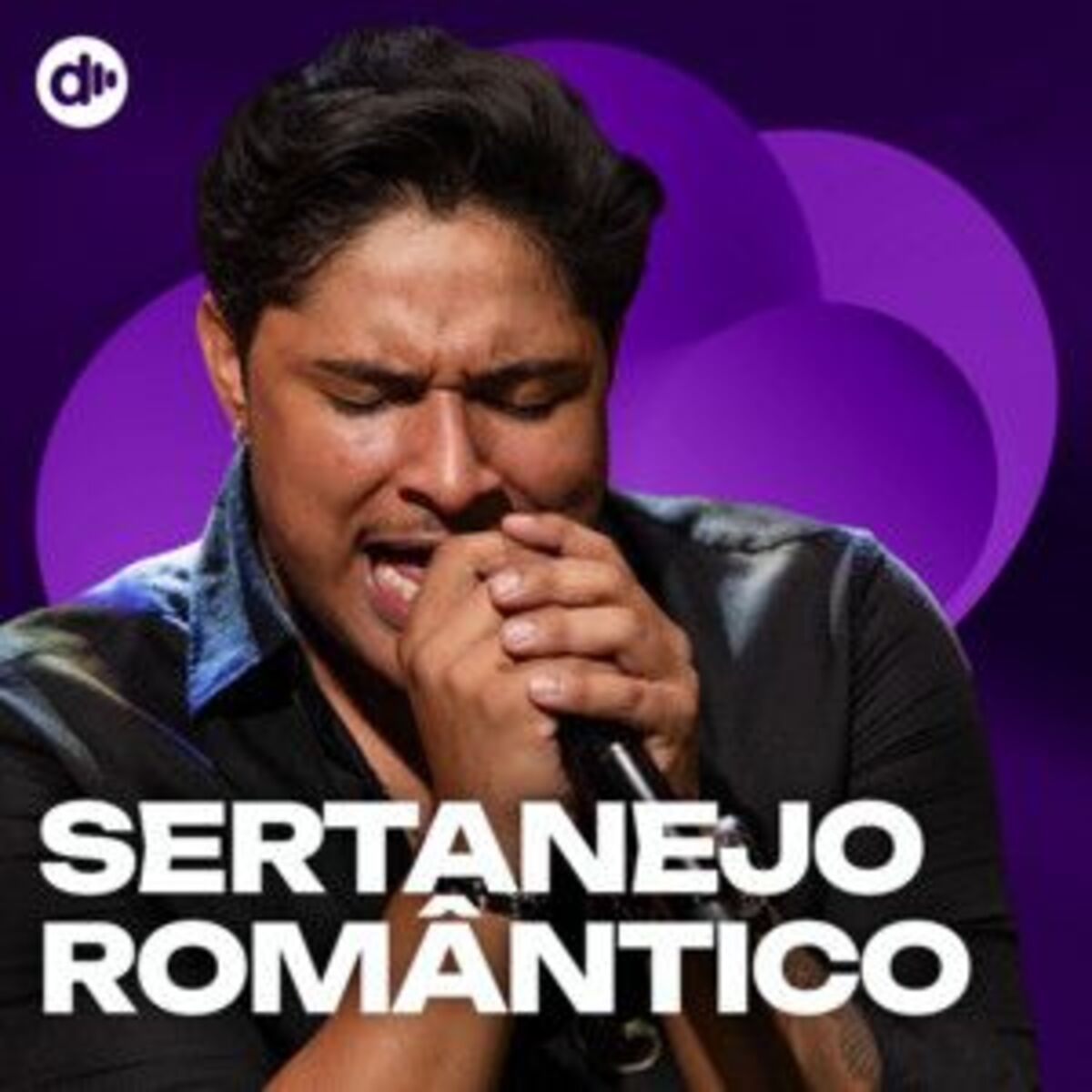 Cover of playlist Sertanejo Romântico | Românticas 2025