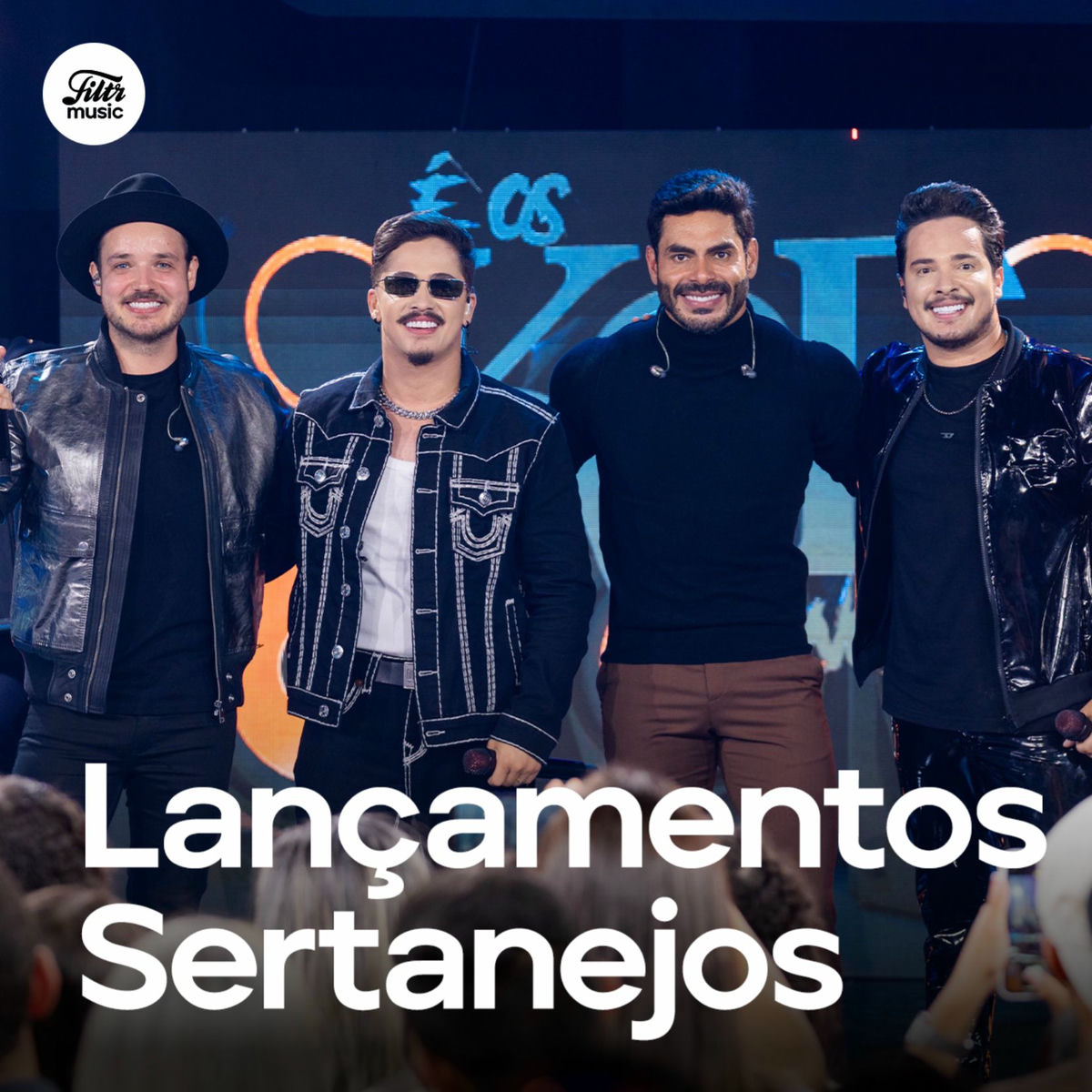 Cover of playlist Lançamentos Sertanejo 2025 🔥 Sertanejo Atualizado