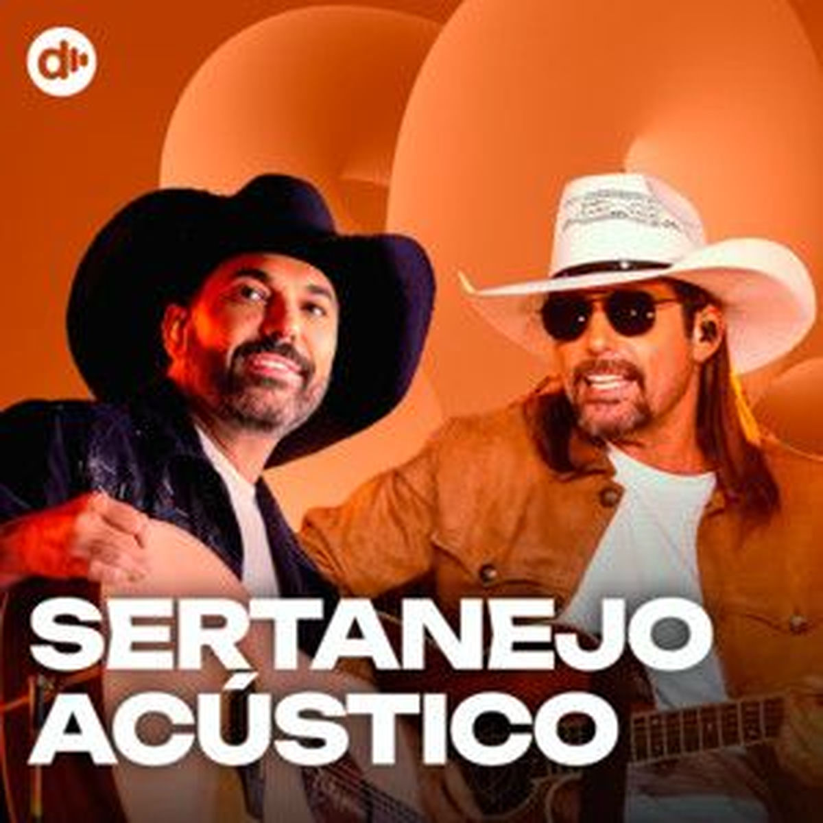 Cover of playlist Sertanejo Acústico