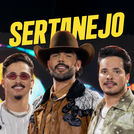 Top Sertanejo 2025 ⭐ Hits Sertanejos!