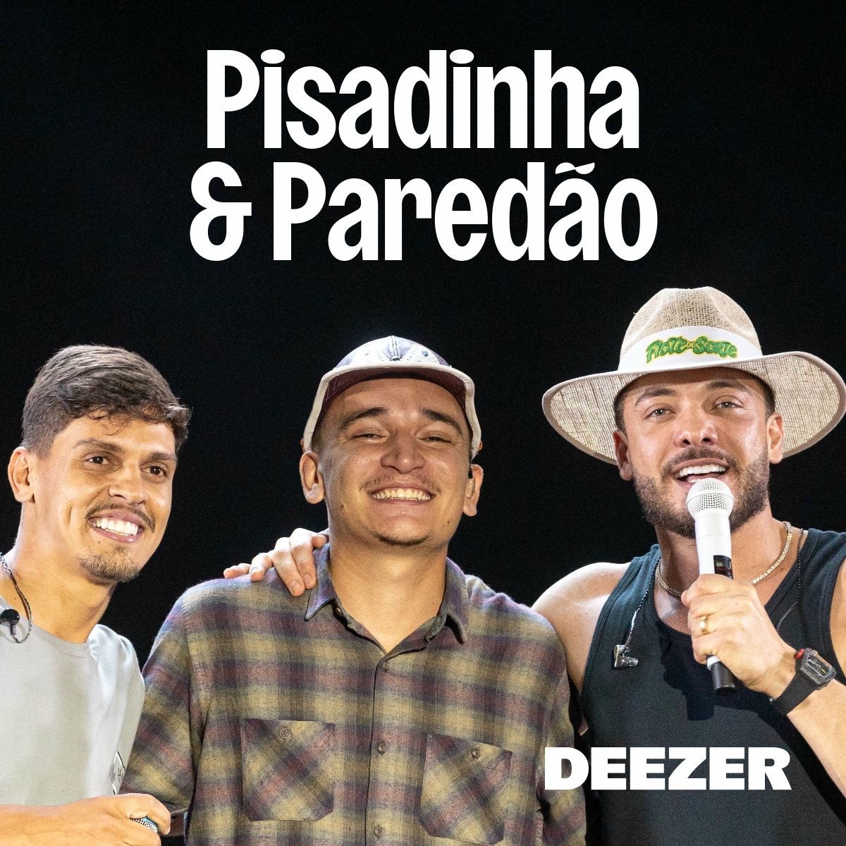 Cover of playlist Pisadinha & Paredão
