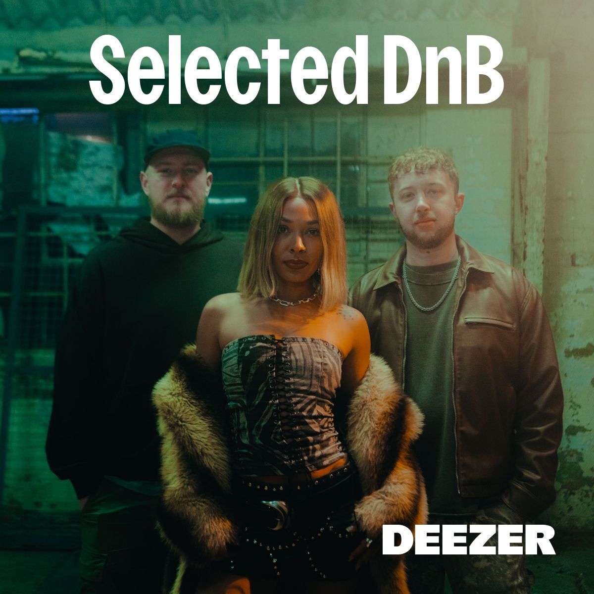 Cover of playlist Selected DnB
