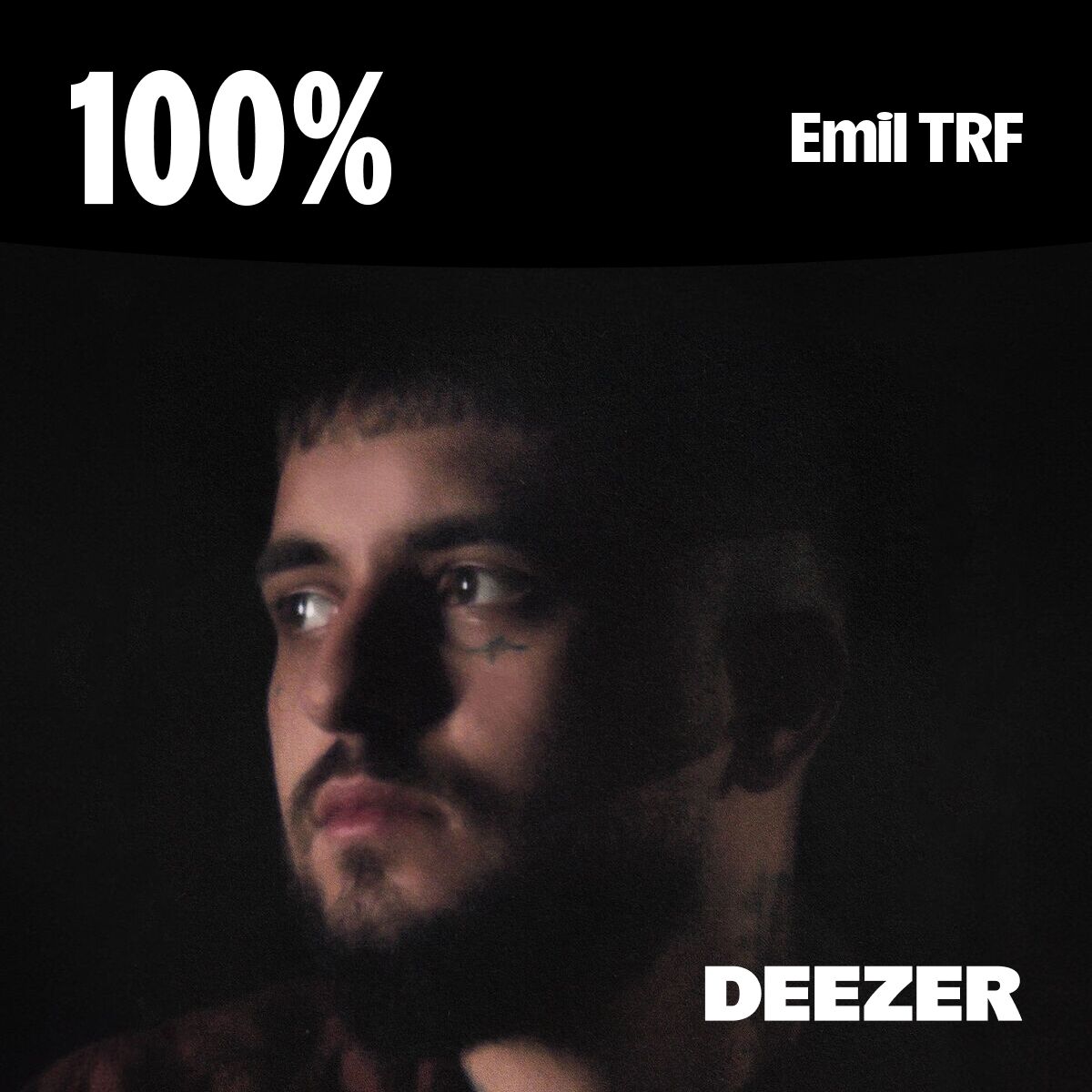 Cover of playlist 100% Emil TRF