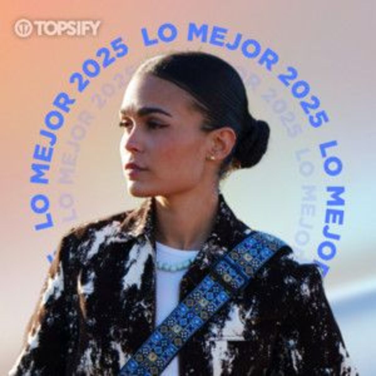 Cover of playlist Lo mejor de 2025