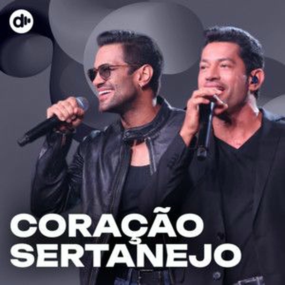 Cover of playlist Coração Sertanejo 💕 Sertanejo 2025 🤠