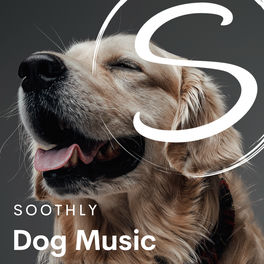 Dog Music