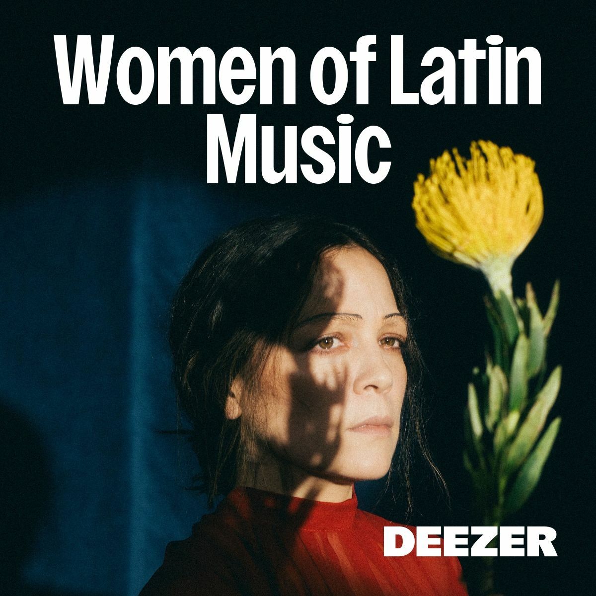 Cover of playlist Women of Latin Music