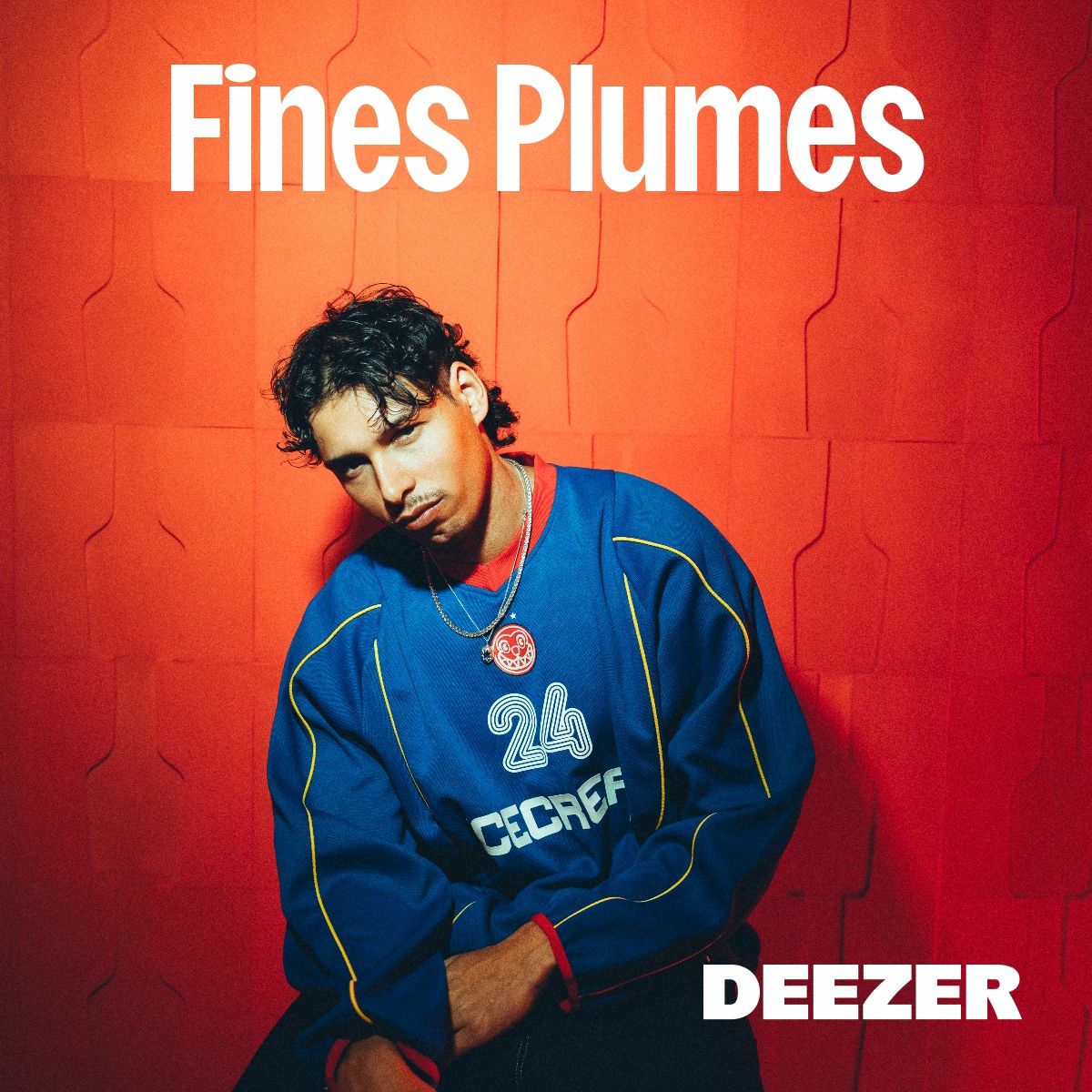 Cover of playlist Fines Plumes