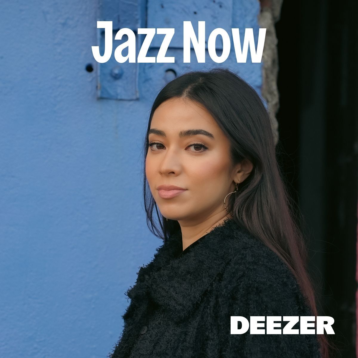 Cover of playlist Jazz Now
