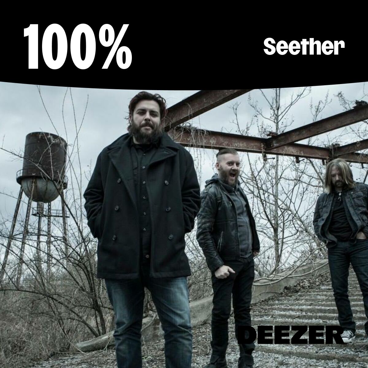 Cover of playlist 100% Seether