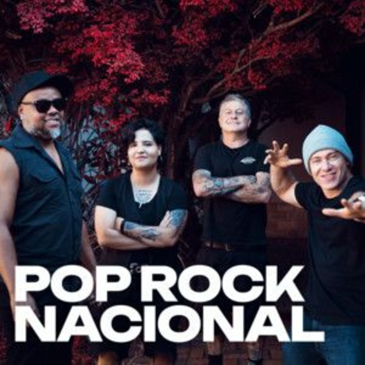 Cover of playlist Pop Rock Nacional