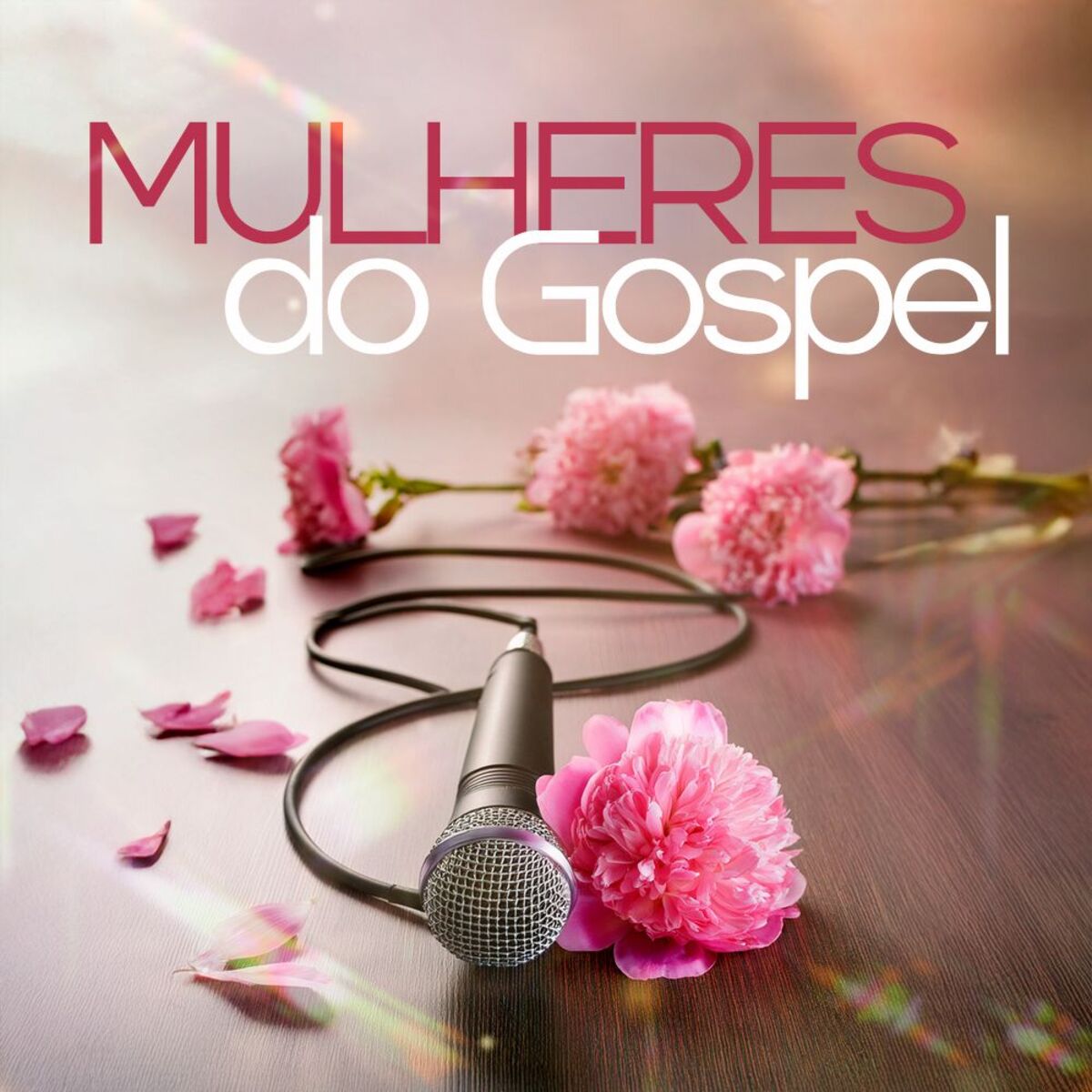 Cover of playlist Mulheres do Gospel
