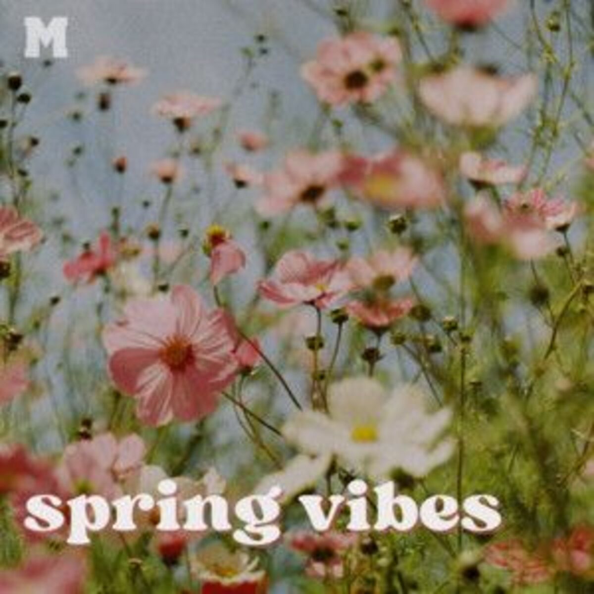 Cover of playlist spring vibes 2025 🌸 sunny feel good music
